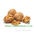 Walnut Kernels Lichte stukken geproduceerd